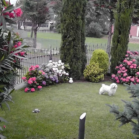 Bed & Breakfast I Viandanti 3*